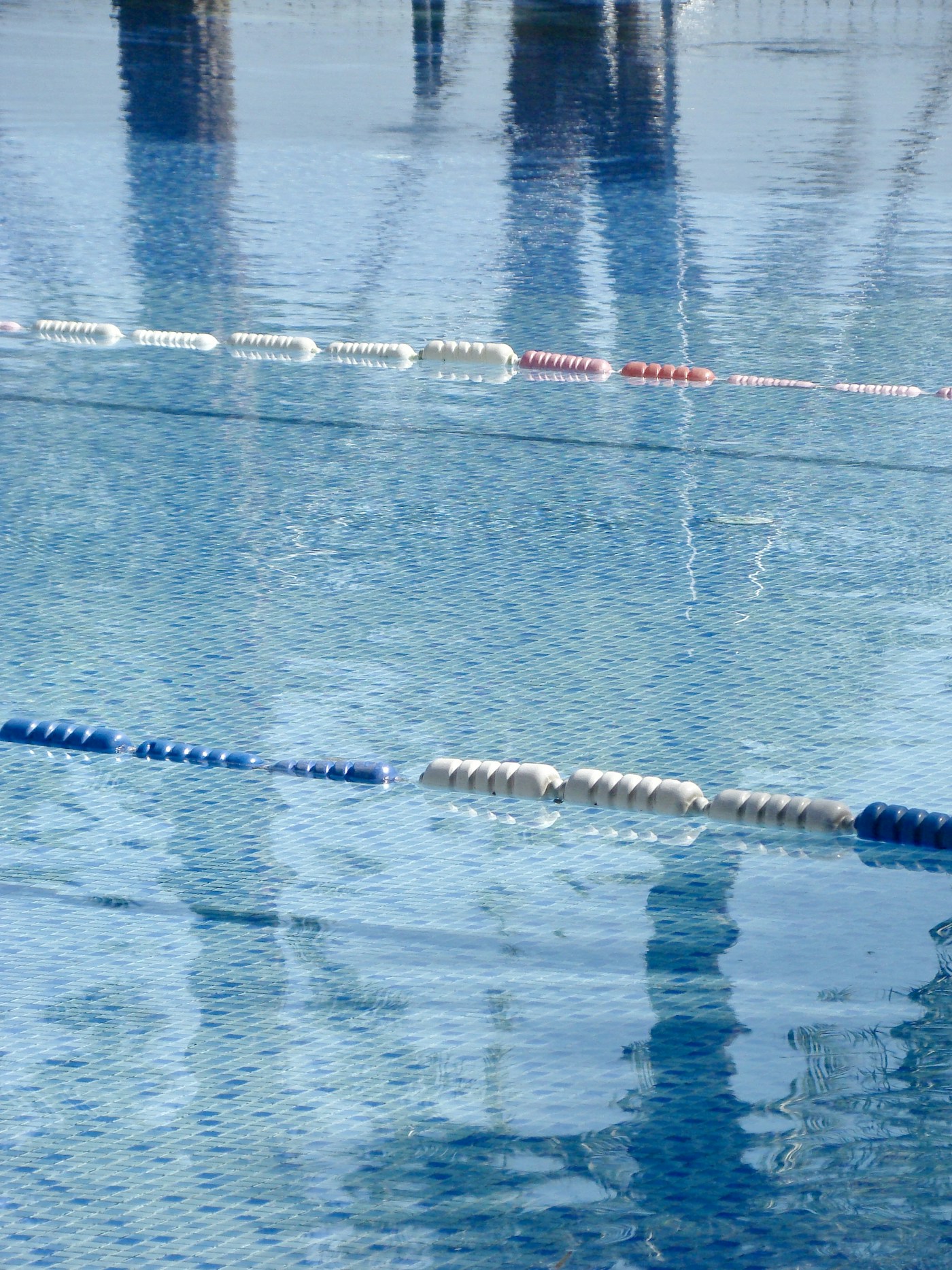 Swimming lanes and reflections on the water
